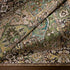 Iris Machine Woven Rug Green