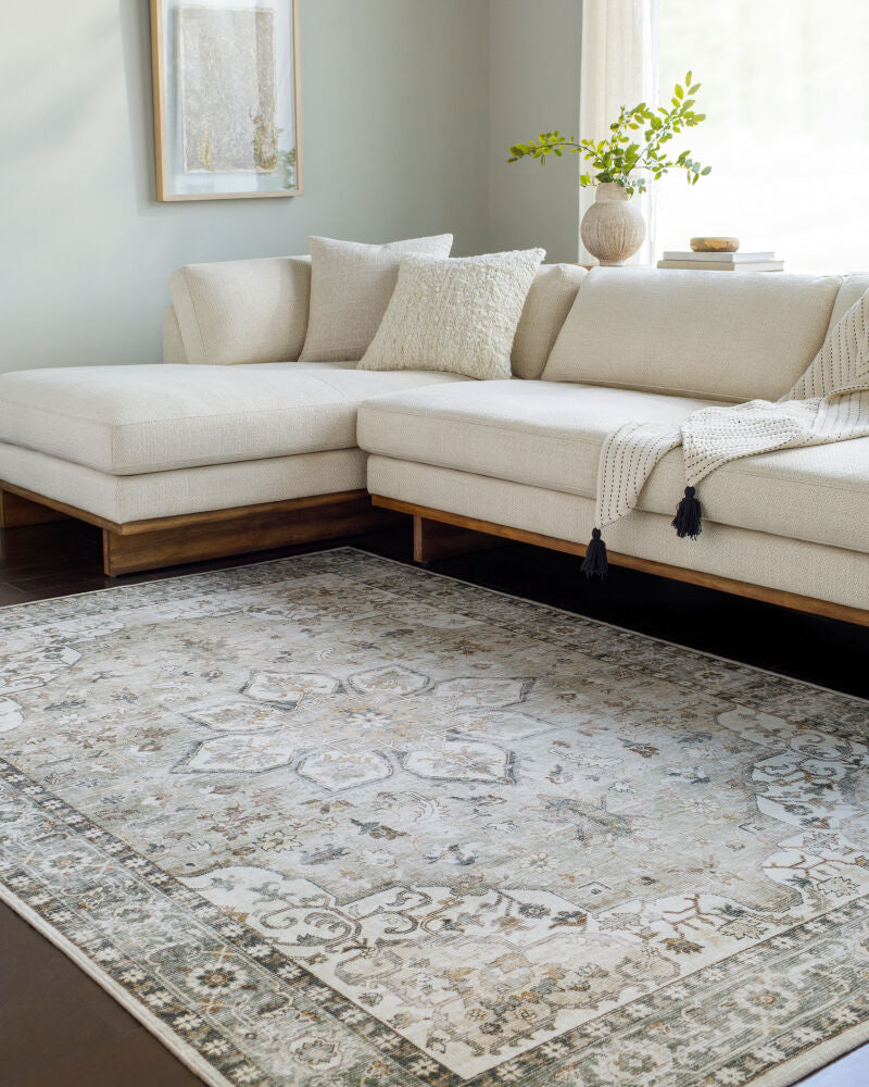 Lavable Machine Woven Rug