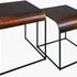 Shayra Metal Nesting End Tables