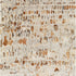 Kavita Handmade Rug