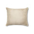 Stardust Pillow